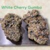 WHITE CHERRY GUMBO 28grams OZ INDICA EXOTICS 🏆🏆37%THC