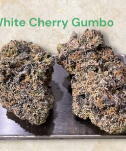 WHITE CHERRY GUMBO 28grams OZ INDICA EXOTICS 🏆🏆37%THC