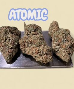 ATOMIC 7grams QUARTER HYBRID 26%THC SALE 🎊🎊 by Bomb Seeds