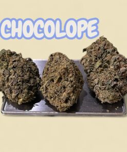CHOCOLOPE 7GRAMS QUARTER SATIVA 26%THC 🔥🔥SALE 🎊🎊