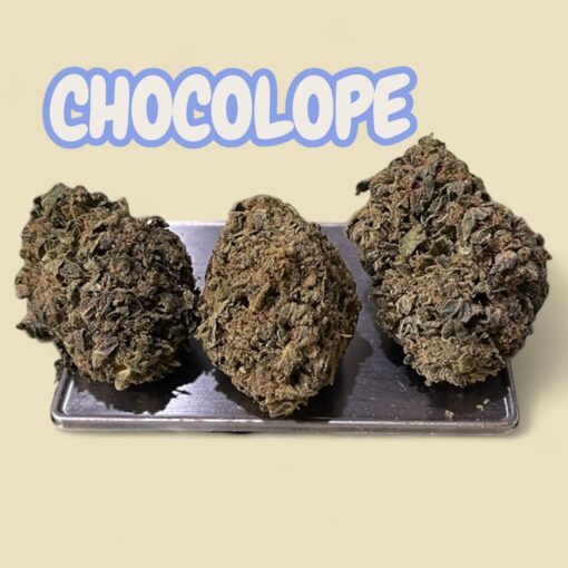 CHOCOLOPE 7GRAMS QUARTER SATIVA 26%THC 🔥🔥SALE 🎊🎊
