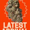 White widow28grams  OZ SALE  SATIVA   28%THC 🔥🔥
