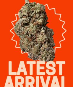 White widow28grams  OZ SALE  SATIVA   28%THC 🔥🔥
