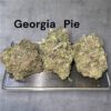 GEORGIA PIE 28g OZ ON SALE 26%THC HYBRID