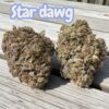 STARDAWG 🔥🔥 28grams OZ INDICA 26%THC SALE
