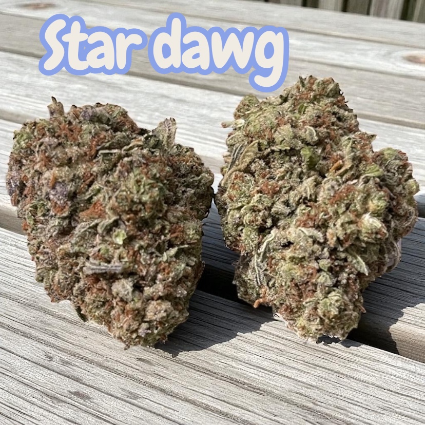 STARDAWG 🔥🔥 28grams OZ INDICA 26%THC SALE STARDAWG 🔥🔥 28grams OZ INDICA 26%THC SALE