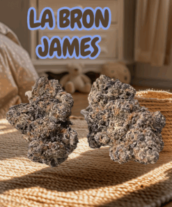 LA BRON JAMES 3.5G INDICA 36%THC INDICA EXOTICS 🔥🔥 on SALE