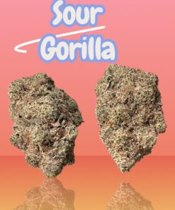 SOUR GORILLA 3.5G SATIVA 36%THC 🔥🔥 EXOTICS