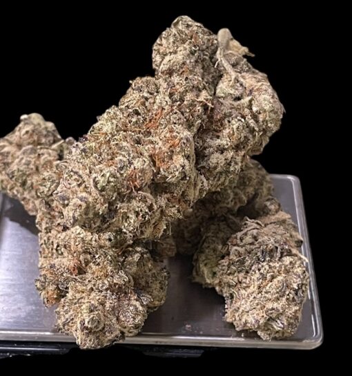 GREAT WHITE SHARK 3.5grams SATIVA 30%THC 🔥🔥