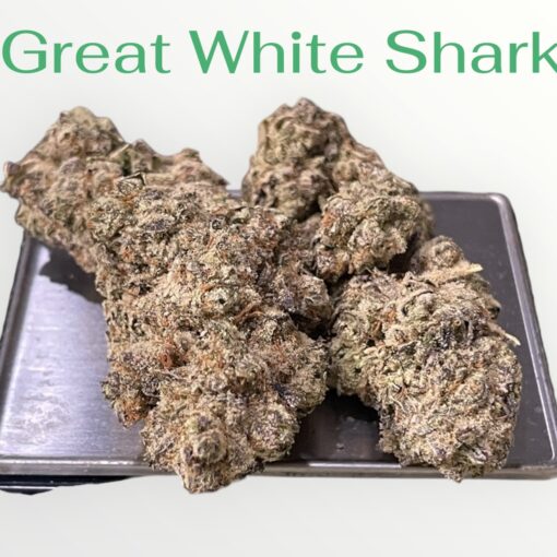 GREAT WHITE SHARK 3.5grams SATIVA 30%THC 🔥🔥
