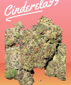 C-99 SATIVA CINDERELLA  28grams OZ ON SALE 28THC 🔥🔥