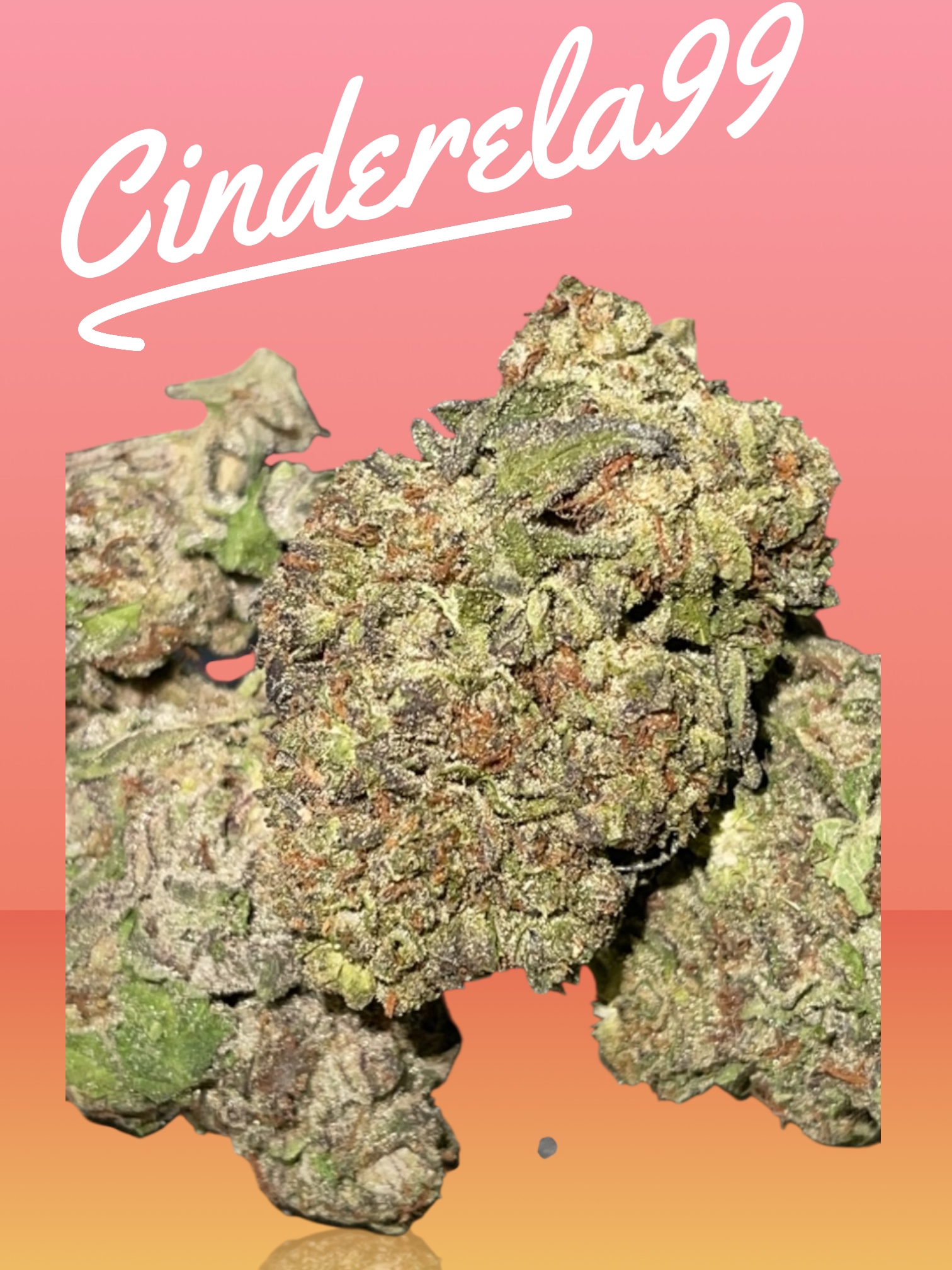 C-99 SATIVA CINDERELLA 28grams OZ ON SALE 28THC π₯π₯ C-99 SATIVA CINDERELLA 28grams OZ ON SALE 28THC π₯π₯