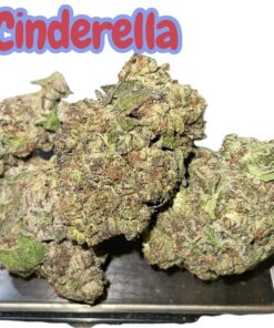 C-99 SATIVA CINDERELLA  28grams OZ ON SALE 28THC 🔥🔥