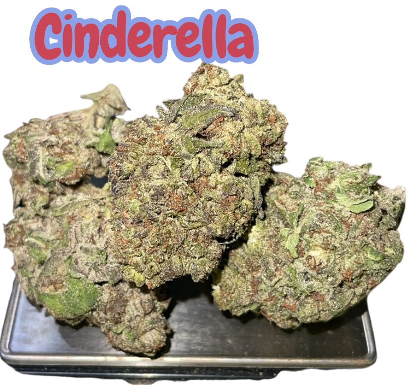 C-99 SATIVA CINDERELLA 28grams OZ ON SALE 28THC π₯π₯ C-99 SATIVA CINDERELLA 28grams OZ ON SALE 28THC π₯π₯
