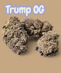 TRUMP OG 7grams QUARTER  FALL SALE 26%THC INDICA