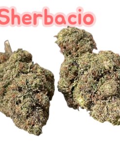 SHERBACIO 7GRAMS QUARTER FALL SALE 26%THC HYBRID