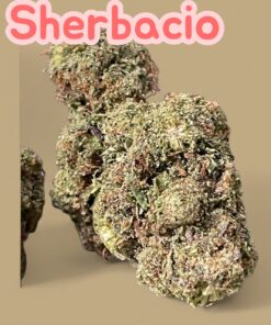 SHERBACIO 7GRAMS QUARTER FALL SALE 26%THC HYBRID