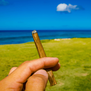 ocean parkway weed delivery