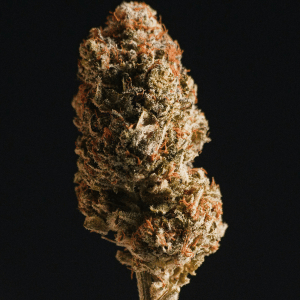 pennsylvania avenue weed delivery