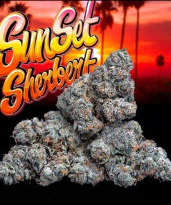 SUNSET SHERBERT 3.5 HYBRID (jungle Boys)🔥🔥