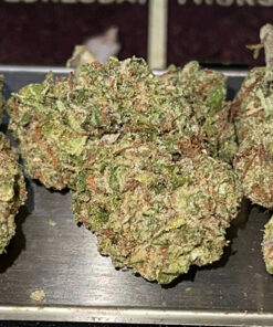 ACAPULCO GOLD 28grams Oz SATIVA 28%THC 🔥🔥