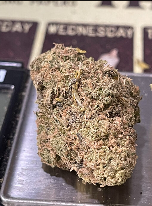 CREASE MONKEY 🙈🐵4GRAMS 🎃HALLO SALE🎃HYBRID 31%THC