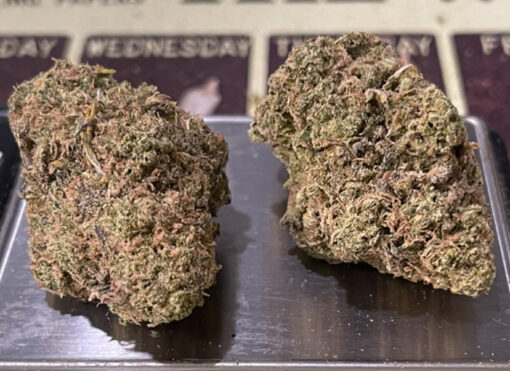 CREASE MONKEY 🙈🐵4GRAMS 🎃HALLO SALE🎃HYBRID 31%THC