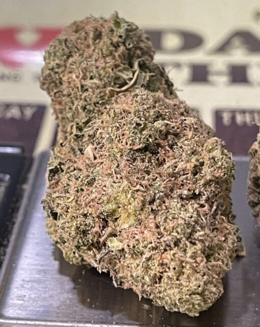 CREASE MONKEY 🙈🐵4GRAMS 🎃HALLO SALE🎃HYBRID 31%THC