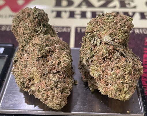 CREASE MONKEY 🙈🐵4GRAMS 🎃HALLO SALE🎃HYBRID 31%THC