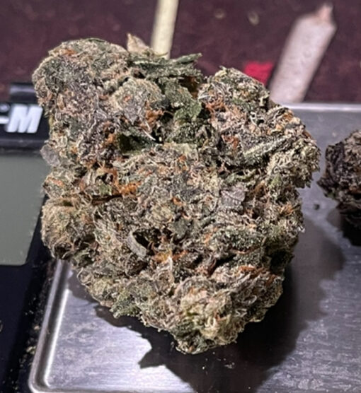 ACE OF SPADES 3.5grams INDICA 🎃HALLO SALE 🎃 30%THC