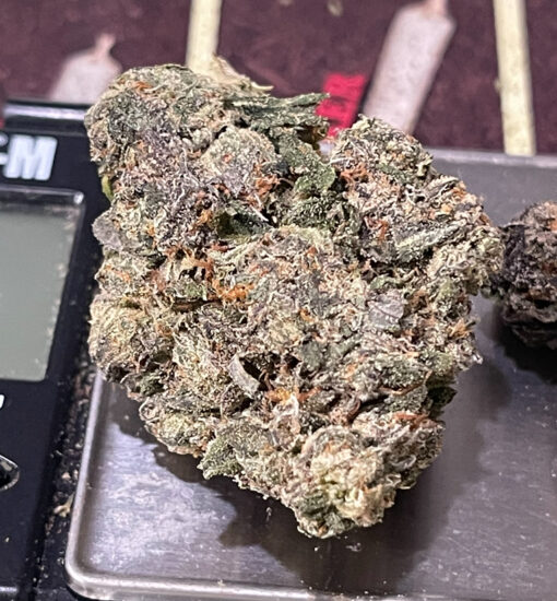 ACE OF SPADES 3.5grams INDICA 🎃HALLO SALE 🎃 30%THC