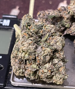 ACE OF SPADES 3.5grams INDICA 🎃HALLO SALE 🎃 30%THC