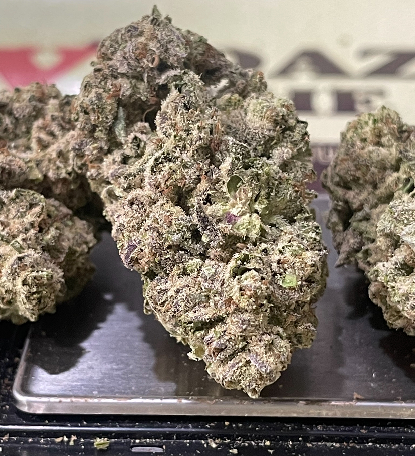 WHITE WIDOW 7GRAMS QUARTER SATIVA 🎃HALO SALE🎃 26%THC WHITE WIDOW 7GRAMS QUARTER SATIVA 🎃HALO SALE🎃 26%THC