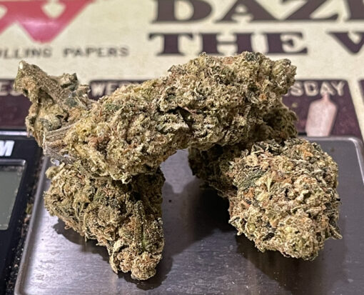 ORANGE SAFARI OZ  28grams SALE 26%THC SATIVA