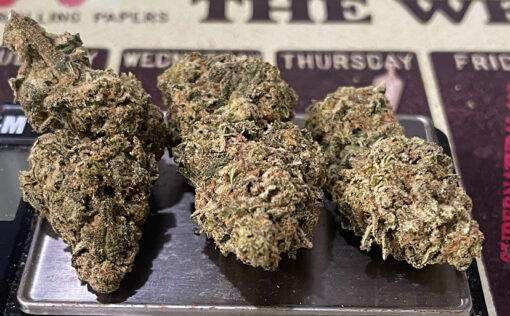 ORANGE SAFARI OZ  28grams SALE 26%THC SATIVA