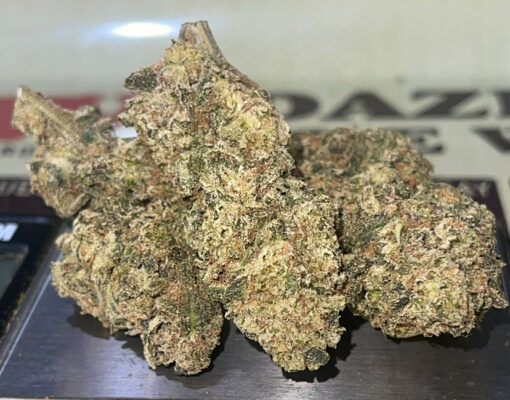 ORANGE SAFARI OZ  28grams SALE 26%THC SATIVA