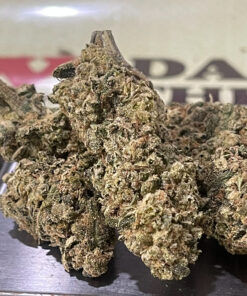 ORANGE SAFARI OZ  28grams SALE 26%THC SATIVA