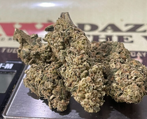 ORANGE SAFARI OZ  28grams SALE 26%THC SATIVA