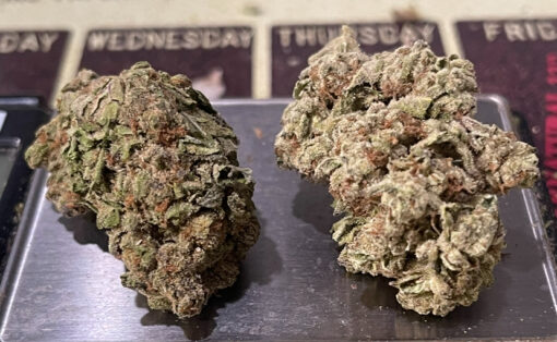 JOKERZ 28grams HYBRID 28%THC HYBRID 🔥🔥