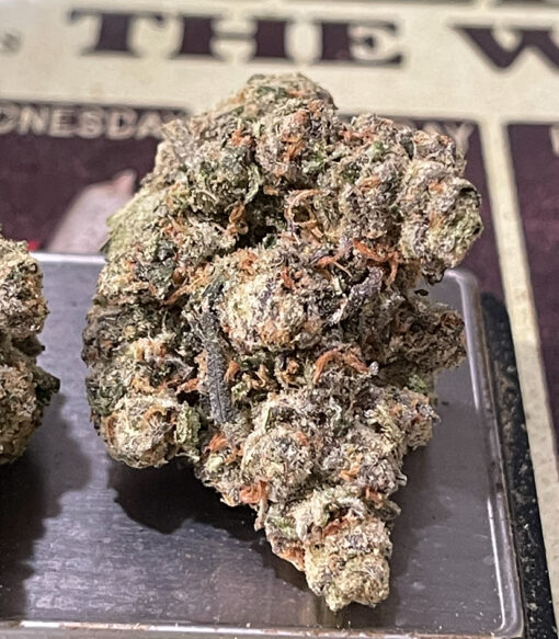 BLUE LOBSTER (Main Trees) 28grams ON SALE  37%THC HYBRID  🎃HALO SALE 🎃 🦞Limited Batch🦞NEW DROP🔥🔥