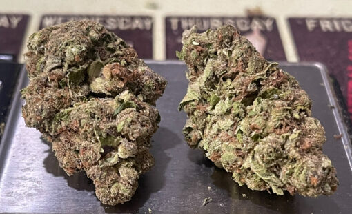 DOLATO 28grams OZ ON SALE  INDICA 28%THC