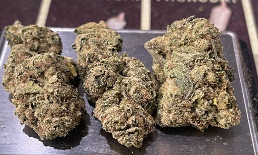 CHERRY ICE🍒🍒 28grams HYBRID 26%THC