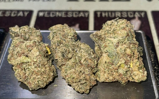 CHERRY ICE🍒🍒 28grams HYBRID 26%THC
