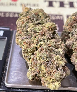 BACIO GELATO   28g HYBRID OZ 🔥🔥 ON SALE 25%THC