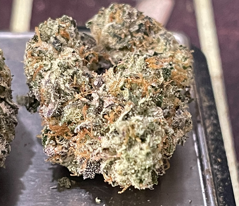 BLUE CANDY GELATO3.5grams EXOTICS 🎃HALLOSALE🎃36%THC HYBRID BLUE CANDY GELATO3.5grams EXOTICS 🎃HALLOSALE🎃36%THC HYBRID