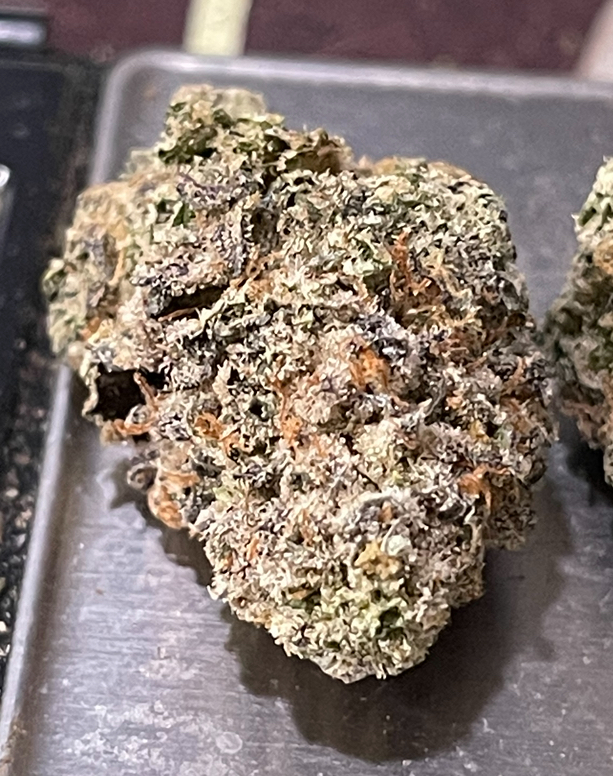 BLUE CANDY GELATO3.5grams EXOTICS 🎃HALLOSALE🎃36%THC HYBRID BLUE CANDY GELATO3.5grams EXOTICS 🎃HALLOSALE🎃36%THC HYBRID