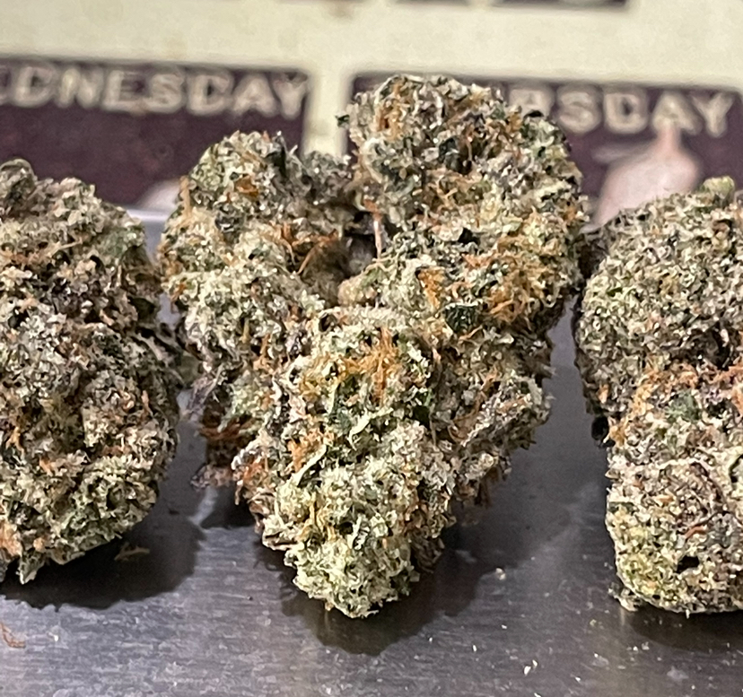 BLUE CANDY GELATO3.5grams EXOTICS 🎃HALLOSALE🎃36%THC HYBRID BLUE CANDY GELATO3.5grams EXOTICS 🎃HALLOSALE🎃36%THC HYBRID