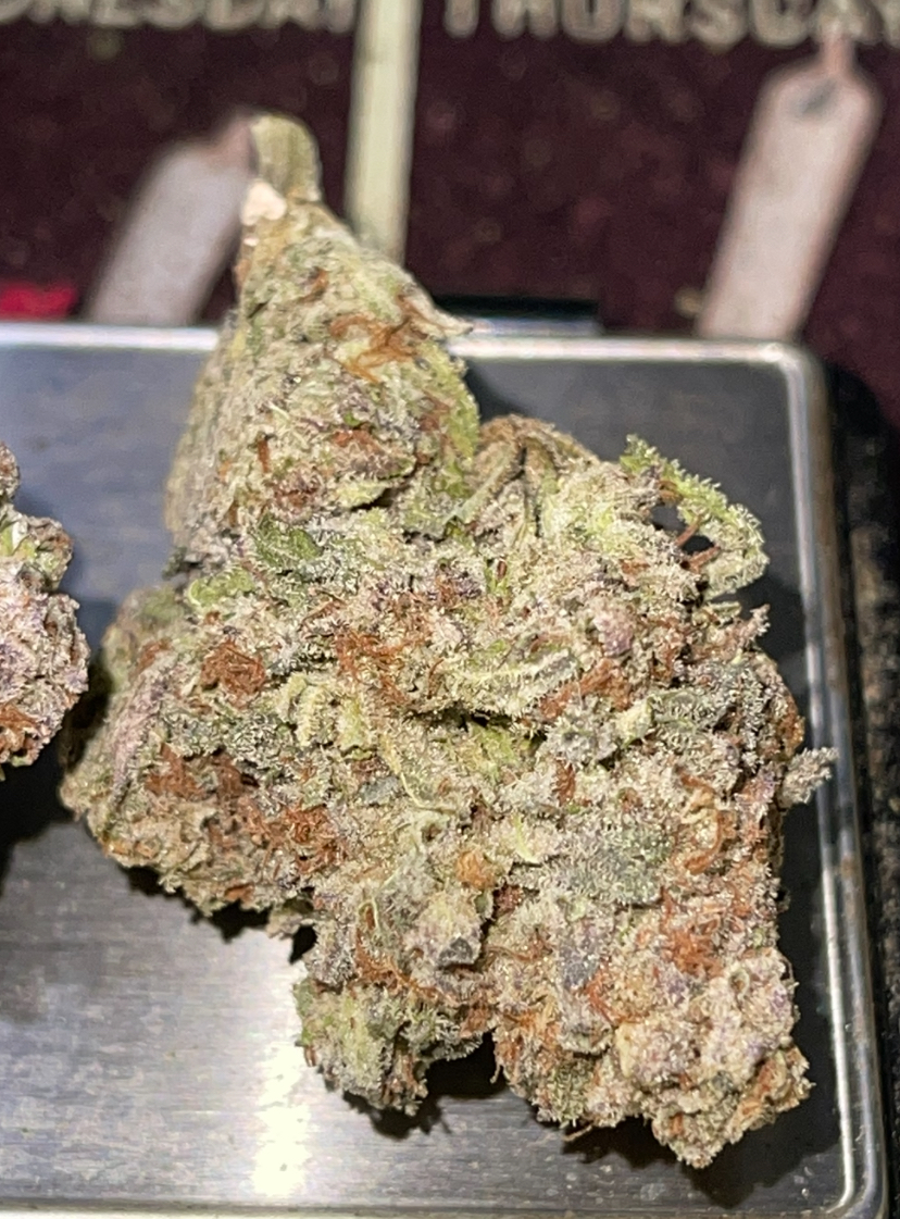 PINK 👙👙 PANTIES 28grams Oz SALE INDICA 28%THC 🔥🔥 PINK 👙👙 PANTIES 28grams Oz SALE INDICA 28%THC 🔥🔥