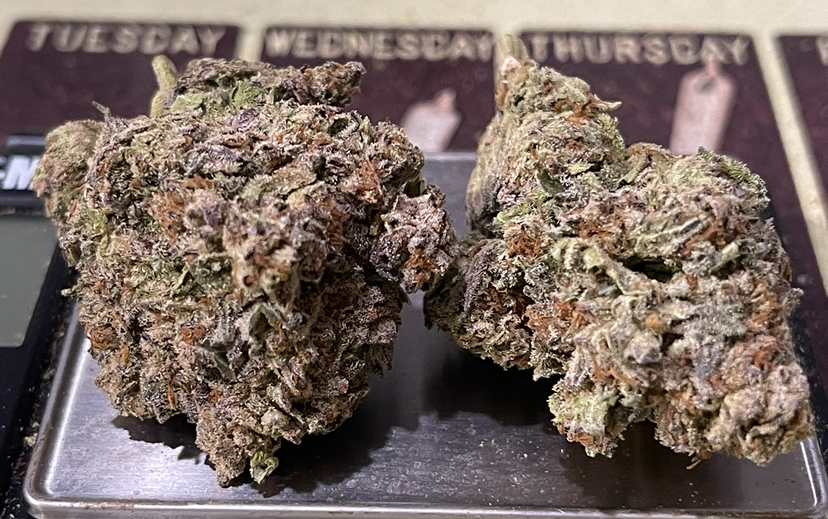 PINK 👙👙 PANTIES 28grams Oz SALE INDICA 28%THC 🔥🔥 PINK 👙👙 PANTIES 28grams Oz SALE INDICA 28%THC 🔥🔥