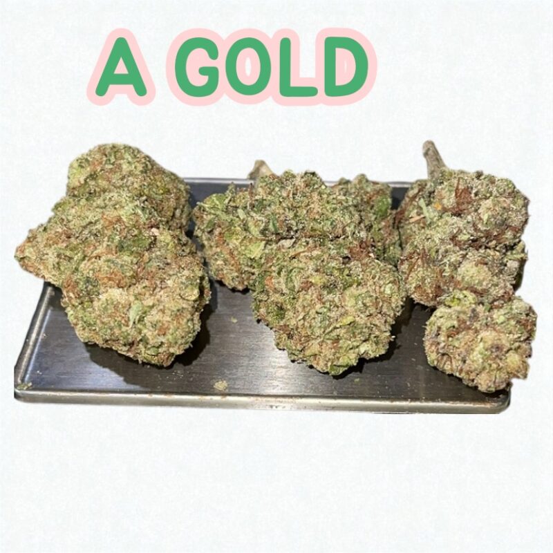 Acapulco Gold: A Legendary Sativa That Shines with Euphoria and Golden Energy